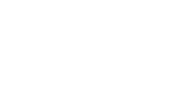 Porsche Black